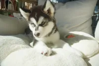 processed/d5ef2f01-700e-45fa-94e8-2add9b57308a/listing/59c52672-20f0-457c-bafa-1c71cc848809/a0701aa4-9f28-4590-a7d0-861378eb6a88