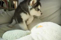 processed/d5ef2f01-700e-45fa-94e8-2add9b57308a/listing/59c52672-20f0-457c-bafa-1c71cc848809/d4871d04-ee1a-4fab-b273-c8c4eaac80a8