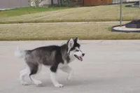 processed/d5ef2f01-700e-45fa-94e8-2add9b57308a/listing/6736ab89-3aaa-4db5-9644-39dc1e2874e9/32ad4e31-1454-4bd1-aa78-29e90fe599e8