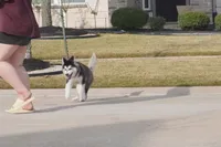 processed/d5ef2f01-700e-45fa-94e8-2add9b57308a/listing/6736ab89-3aaa-4db5-9644-39dc1e2874e9/5aab9b6f-dd6d-4199-b8db-c8c740578bd3