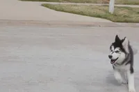 processed/d5ef2f01-700e-45fa-94e8-2add9b57308a/listing/6736ab89-3aaa-4db5-9644-39dc1e2874e9/75116953-723f-4646-b38a-1b9961a5c879