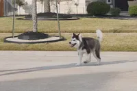 processed/d5ef2f01-700e-45fa-94e8-2add9b57308a/listing/6736ab89-3aaa-4db5-9644-39dc1e2874e9/aef68be2-fec7-499a-aced-c93ddd5da325