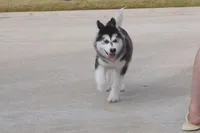 processed/d5ef2f01-700e-45fa-94e8-2add9b57308a/listing/6736ab89-3aaa-4db5-9644-39dc1e2874e9/b7e0cc5f-dd1e-4222-88be-46476322357e