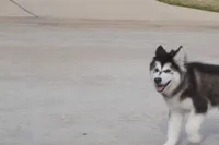 processed/d5ef2f01-700e-45fa-94e8-2add9b57308a/listing/6736ab89-3aaa-4db5-9644-39dc1e2874e9/b8527874-5db9-4f7a-82f6-c7fdccc92dae