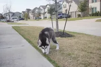 processed/d5ef2f01-700e-45fa-94e8-2add9b57308a/listing/6736ab89-3aaa-4db5-9644-39dc1e2874e9/cfef0880-7102-4d24-93bb-be61b7950bce