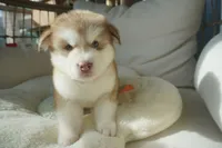 processed/d5ef2f01-700e-45fa-94e8-2add9b57308a/listing/7cee81ab-86be-48ef-b879-26bdbbd30935/72b3e680-900c-4dc2-baa1-26cd3dc1bae8