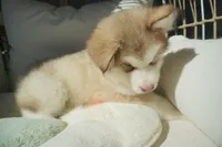 processed/d5ef2f01-700e-45fa-94e8-2add9b57308a/listing/7cee81ab-86be-48ef-b879-26bdbbd30935/8e65e0a4-6456-41b4-a403-3b7f3d98507a