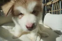 processed/d5ef2f01-700e-45fa-94e8-2add9b57308a/listing/7cee81ab-86be-48ef-b879-26bdbbd30935/9f5b8ed4-56bc-40d1-9d5d-65f2f8d0ddf6