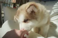 processed/d5ef2f01-700e-45fa-94e8-2add9b57308a/listing/7cee81ab-86be-48ef-b879-26bdbbd30935/ad07e60b-0f48-42b3-baaa-9d792a58f431