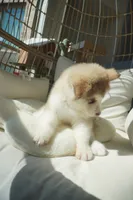 processed/d5ef2f01-700e-45fa-94e8-2add9b57308a/listing/7cee81ab-86be-48ef-b879-26bdbbd30935/bb345d55-5860-4870-a406-3f3ee146232b