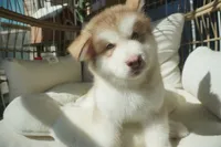 processed/d5ef2f01-700e-45fa-94e8-2add9b57308a/listing/7cee81ab-86be-48ef-b879-26bdbbd30935/ea26b70e-4261-4a43-9e53-1c5be60b62ca