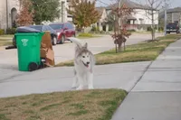 processed/d5ef2f01-700e-45fa-94e8-2add9b57308a/listing/bff5a38d-11d6-4d22-8497-90653fa8b8a8/436c2a43-77f5-4bf5-b2bd-fd12a44bf53a