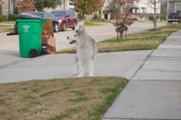 processed/d5ef2f01-700e-45fa-94e8-2add9b57308a/listing/bff5a38d-11d6-4d22-8497-90653fa8b8a8/b8a79db1-8226-433e-893b-f7ce9f472f6c