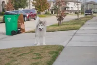 processed/d5ef2f01-700e-45fa-94e8-2add9b57308a/listing/bff5a38d-11d6-4d22-8497-90653fa8b8a8/fa335a0b-56b9-4a7b-8312-22d9810c53c8