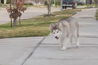 processed/d5ef2f01-700e-45fa-94e8-2add9b57308a/listing/bff5a38d-11d6-4d22-8497-90653fa8b8a8/fb6800a8-8655-4775-9f2d-340a1a178303