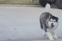 processed/d5ef2f01-700e-45fa-94e8-2add9b57308a/listing/d47c8438-852e-49de-b51d-a03f0cca9d0e/0a7806b4-6815-4a8c-b101-1e83c1674261