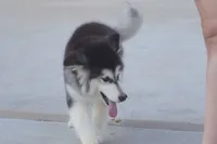 processed/d5ef2f01-700e-45fa-94e8-2add9b57308a/listing/d47c8438-852e-49de-b51d-a03f0cca9d0e/46a9dfea-0f7d-41be-a801-cdc913bd1ba2