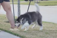 processed/d5ef2f01-700e-45fa-94e8-2add9b57308a/listing/d47c8438-852e-49de-b51d-a03f0cca9d0e/6ab327f0-45ff-4e50-b34e-e8aea1dbafb8