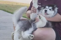 processed/d5ef2f01-700e-45fa-94e8-2add9b57308a/listing/d47c8438-852e-49de-b51d-a03f0cca9d0e/db6f9ba7-9d04-4e8e-bb45-b065cd1e99af