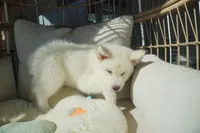 processed/d5ef2f01-700e-45fa-94e8-2add9b57308a/listing/ef3e7aa4-e2f7-4c10-bda4-b71f9b84c49a/11706166-3bd9-48b0-84d4-621475dac5c4