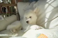 processed/d5ef2f01-700e-45fa-94e8-2add9b57308a/listing/ef3e7aa4-e2f7-4c10-bda4-b71f9b84c49a/1f826e88-f0fc-4cf6-beb5-eff49e338b38