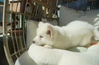 processed/d5ef2f01-700e-45fa-94e8-2add9b57308a/listing/ef3e7aa4-e2f7-4c10-bda4-b71f9b84c49a/4242a392-663e-4268-9876-34cfd60d9fda