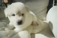 processed/d5ef2f01-700e-45fa-94e8-2add9b57308a/listing/ef3e7aa4-e2f7-4c10-bda4-b71f9b84c49a/60c60559-8f34-4957-8145-5523799ce49f