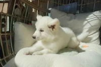 processed/d5ef2f01-700e-45fa-94e8-2add9b57308a/listing/ef3e7aa4-e2f7-4c10-bda4-b71f9b84c49a/8cd01eec-aea8-438b-b6c2-538697b3d9f5