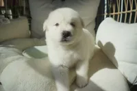 processed/d5ef2f01-700e-45fa-94e8-2add9b57308a/listing/ef3e7aa4-e2f7-4c10-bda4-b71f9b84c49a/935f57c1-df2b-4cbb-a87f-3bb5df54ccb9