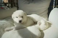 processed/d5ef2f01-700e-45fa-94e8-2add9b57308a/listing/ef3e7aa4-e2f7-4c10-bda4-b71f9b84c49a/ededfed9-a3b8-439a-a0da-cca9e54c0aeb