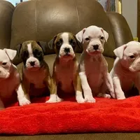 processed/d5fb8656-2885-4b49-b495-d4837a944f53/facility/0d5beb28-ec64-4f91-a23e-89a4fb6c792c