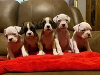 processed/d5fb8656-2885-4b49-b495-d4837a944f53/facility/0d5beb28-ec64-4f91-a23e-89a4fb6c792c