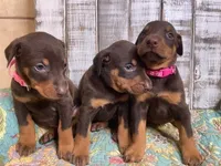 processed/d5fb8656-2885-4b49-b495-d4837a944f53/listing/7005d9ef-5175-4f95-a9bd-7e6bc6203237/0873813e-e3ba-4ab4-972d-f2cc22a2be2a