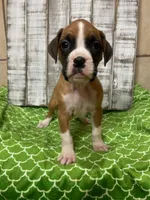 processed/d5fb8656-2885-4b49-b495-d4837a944f53/listing/bd1472e1-733a-4721-9086-b123203dce75/a1d65157-a4a0-4dc1-929e-8d19415789c0