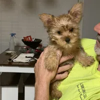 processed/d5feb9e8-8d0b-45d3-890a-9efbad065bf9/facility/705d704c-c8c9-473e-95a5-517b2abdcff9