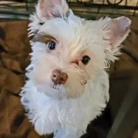 processed/d5feb9e8-8d0b-45d3-890a-9efbad065bf9/facility/8282b3b4-251b-4b02-be40-f30aaca93eb5