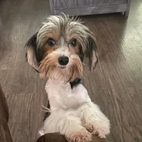 processed/d5feb9e8-8d0b-45d3-890a-9efbad065bf9/facility/a17bd73b-f4dd-496b-ac49-4a7d03fae5b5