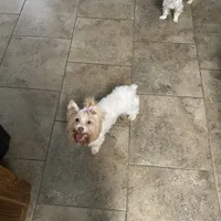 processed/d5feb9e8-8d0b-45d3-890a-9efbad065bf9/facility/ae840217-df17-41f7-a290-315ab3298a29