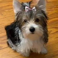 processed/d5feb9e8-8d0b-45d3-890a-9efbad065bf9/facility/ced86855-75fb-47f2-99ee-b80e23cb4653