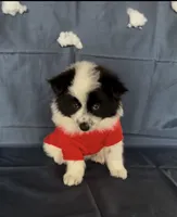 processed/d60b0255-fece-445a-bb94-46f4b91acccf/listing/b9476bf4-a65e-4065-bf7c-d4417c97ae59/1f6fd628-79ff-4f38-bbe8-a9a04ad4cace