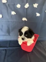 processed/d60b0255-fece-445a-bb94-46f4b91acccf/listing/b9476bf4-a65e-4065-bf7c-d4417c97ae59/672d183d-750b-4445-9c77-8caabb55f812