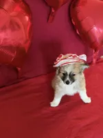 processed/d60b0255-fece-445a-bb94-46f4b91acccf/listing/c7947a3d-f893-4590-9e6b-c0e936ed37c1/1e744038-d6bc-44bc-aecf-ea9b3c5662f9