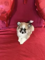 processed/d60b0255-fece-445a-bb94-46f4b91acccf/listing/c7947a3d-f893-4590-9e6b-c0e936ed37c1/2a223ad7-d7f3-4dde-b49c-92e096929aee