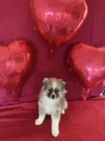 processed/d60b0255-fece-445a-bb94-46f4b91acccf/listing/c7947a3d-f893-4590-9e6b-c0e936ed37c1/38314cc2-d7da-4217-bb2c-7d9323701f94