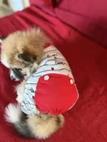 processed/d60b0255-fece-445a-bb94-46f4b91acccf/listing/c7947a3d-f893-4590-9e6b-c0e936ed37c1/f148e983-005e-446c-8031-1fb4b369272c