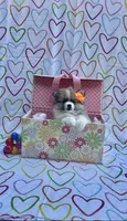 Maya, a female Pomimo for sale in Sacramento, CA – 4 of 5