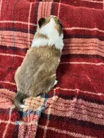 processed/d61cabab-e57b-462e-b7fa-6ca9697908db/listing/3b316674-5ad3-4225-83a2-341ce071baa1/06be2b00-48d7-4fef-883d-3336d8efe1dd