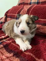 processed/d61cabab-e57b-462e-b7fa-6ca9697908db/listing/3b316674-5ad3-4225-83a2-341ce071baa1/36ceb085-50d8-42b4-a8ba-7347bbea7b7a