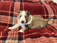 processed/d61cabab-e57b-462e-b7fa-6ca9697908db/listing/3b316674-5ad3-4225-83a2-341ce071baa1/56f162c6-6f04-4b8b-890d-723f54d09141