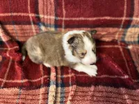 processed/d61cabab-e57b-462e-b7fa-6ca9697908db/listing/3b316674-5ad3-4225-83a2-341ce071baa1/8ae45ae8-c2f5-4195-8927-f2df49a2046c